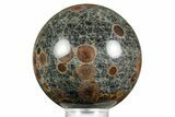 Polished Orbicular Rhyolite (Peanut Obsidian) Sphere - Mexico #371240-1